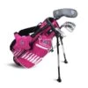 Left Hand UL42-s 4 Club Stand Set, Pink/White Bag -Golf Store 14862 main.default
